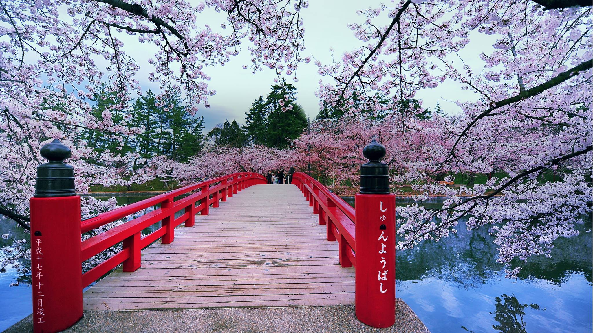 Okami Japan Experience_5-1